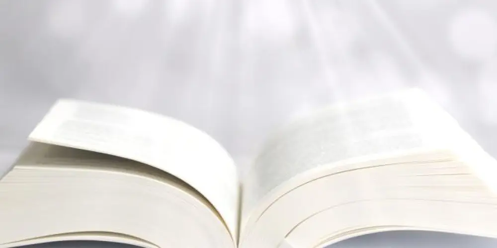 Imagem do grupo de WhatsApp Palavra Revelada 1