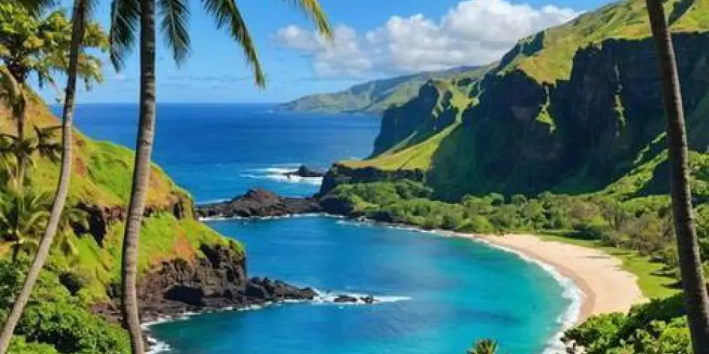 Imagem do grupo de WhatsApp Palm Paradise 🌴💌