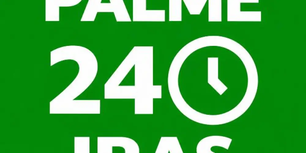 Imagem do grupo de WhatsApp Palmeiras 24H