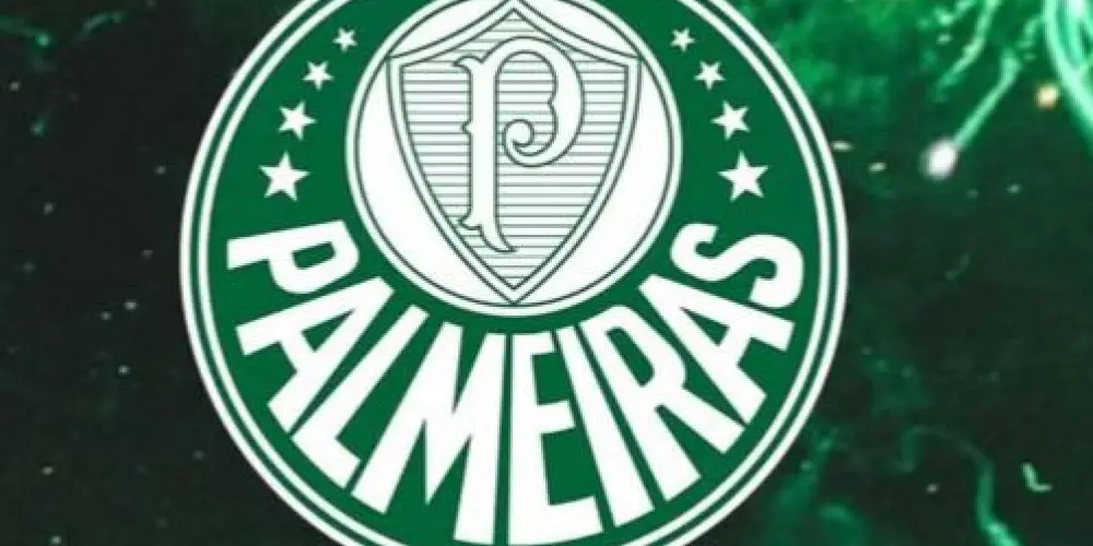 Imagem do grupo de WhatsApp Palmeiras💚🤍