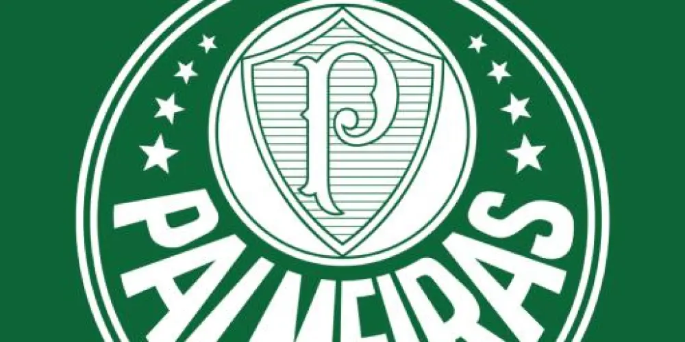 Imagem do grupo de WhatsApp PALMEIRAS 🇳🇬