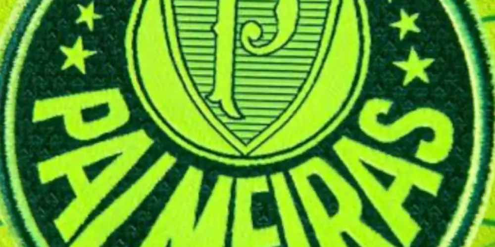 Imagem do grupo de WhatsApp PALMEIRAS 💚🤍