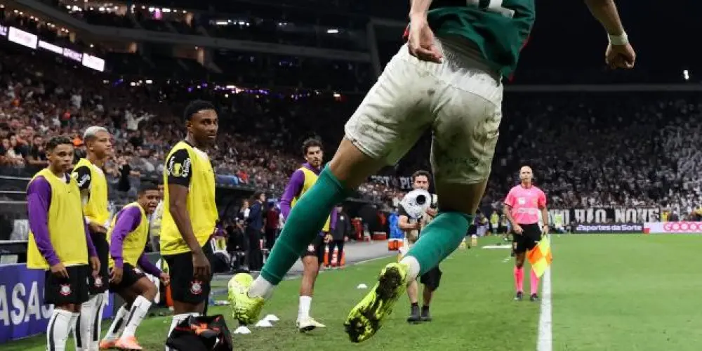 Imagem do grupo de WhatsApp Palmeiras shitposting