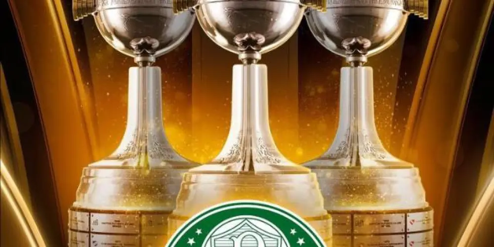 Imagem do grupo de WhatsApp PALMEIRAS TRI LBRT💚🤍🐷🏆