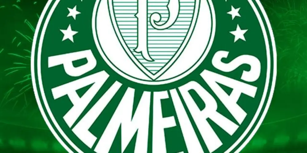 Imagem do grupo de WhatsApp PALMEIRAS VERDÃO 🇳🇬