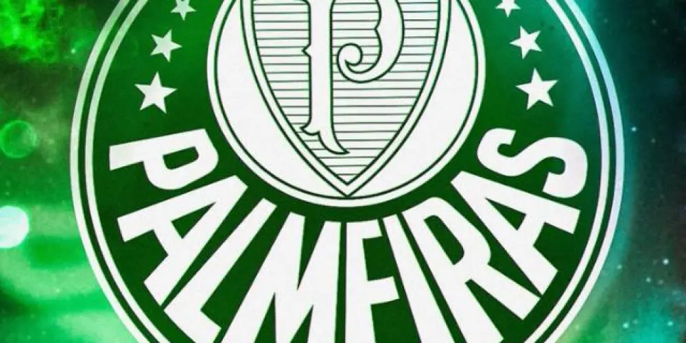 Imagem do grupo de WhatsApp PALMEIRAS VERDÃO 💚💪🏻
