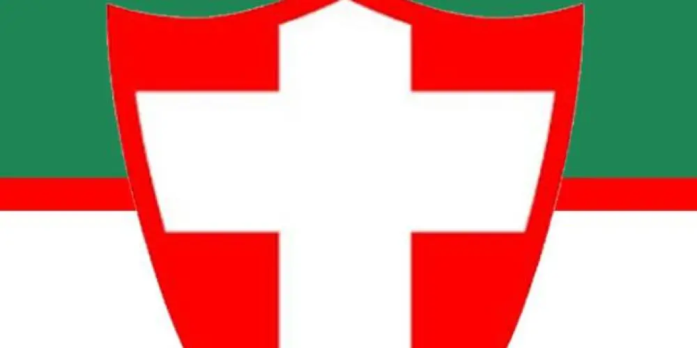 Imagem do grupo de WhatsApp 🇳🇬🏆 PALMEIRAS VERDÃO🏆🇳🇬