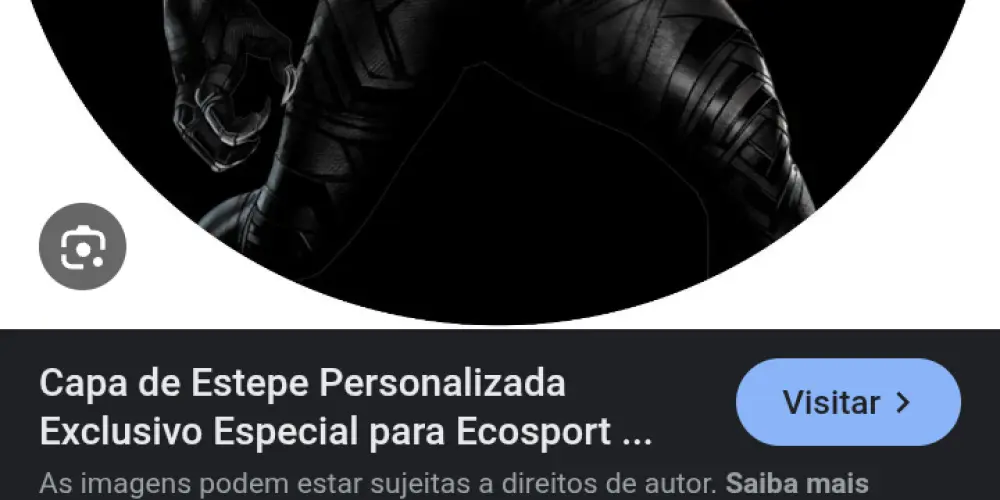 Imagem do grupo de WhatsApp _^PANTERAS^_⚫📌