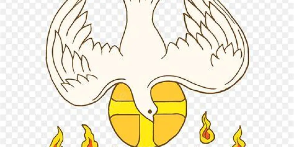 Imagem do grupo de WhatsApp PÃO DIÁRIO
