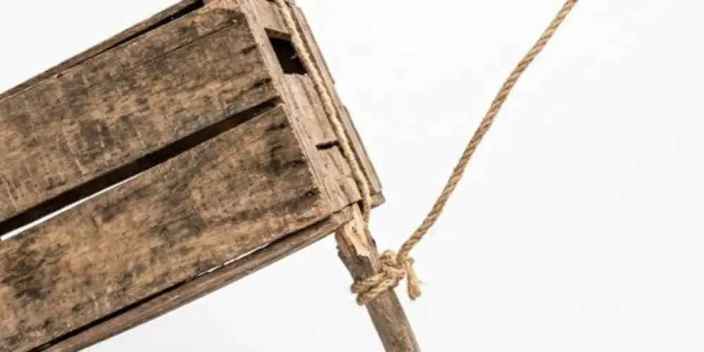 Imagem do grupo de WhatsApp papa nao aleatory