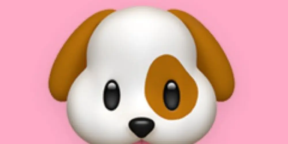 Imagem do grupo de WhatsApp papais de pets!!🐶🫶🏼🐕