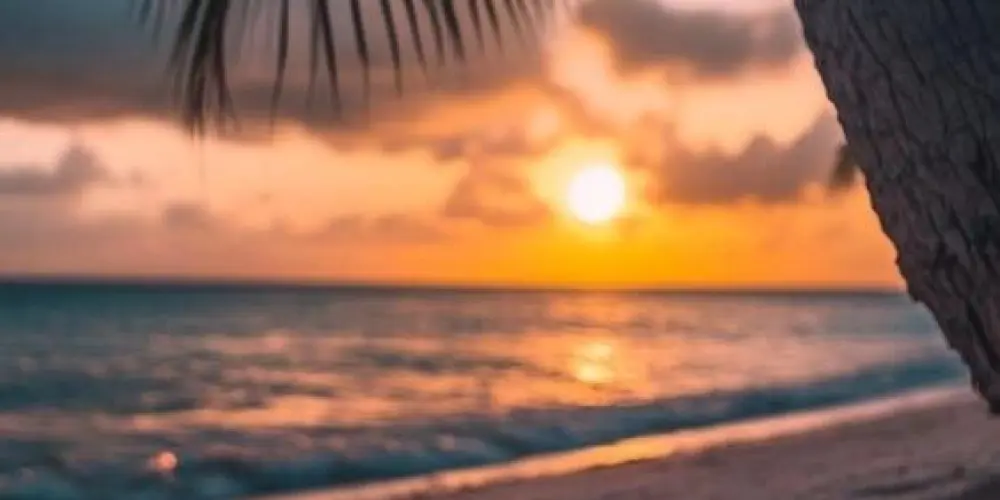 Imagem do grupo de WhatsApp 么PAPAPORA╰⁔╯