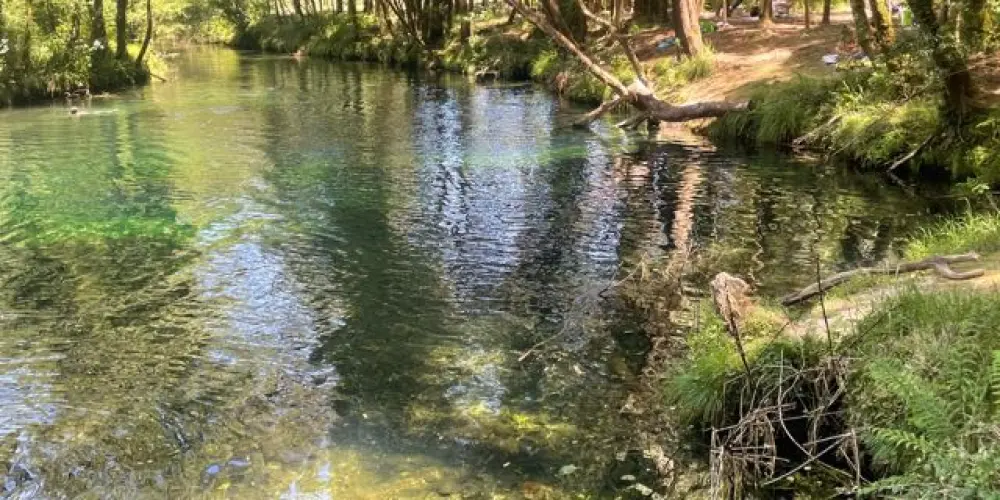 Imagem do grupo de WhatsApp Papo de doido 🪅🎡