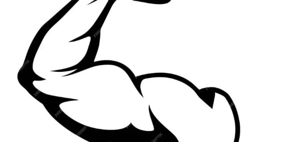 Imagem do grupo de WhatsApp PAPO DE MACHO