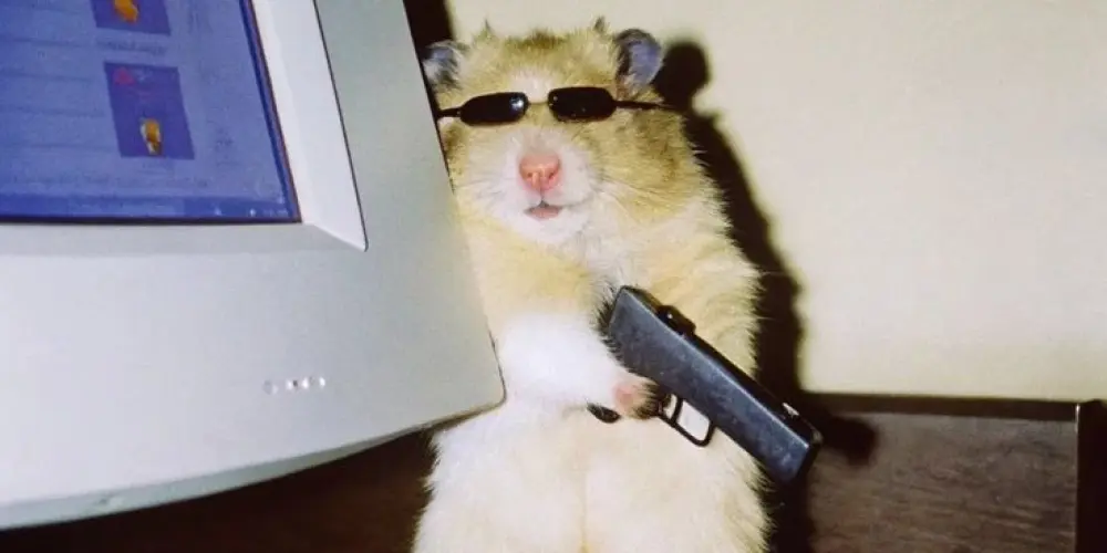 Imagem do grupo de WhatsApp 💥PAPO FURADO 🍻