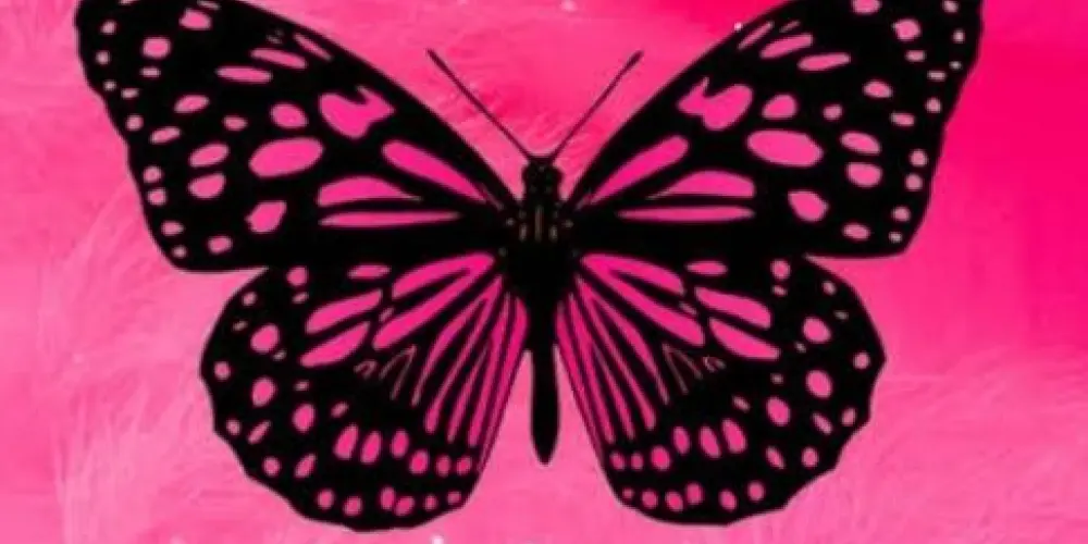 Imagem do grupo de WhatsApp Para as meninas 💗🌷