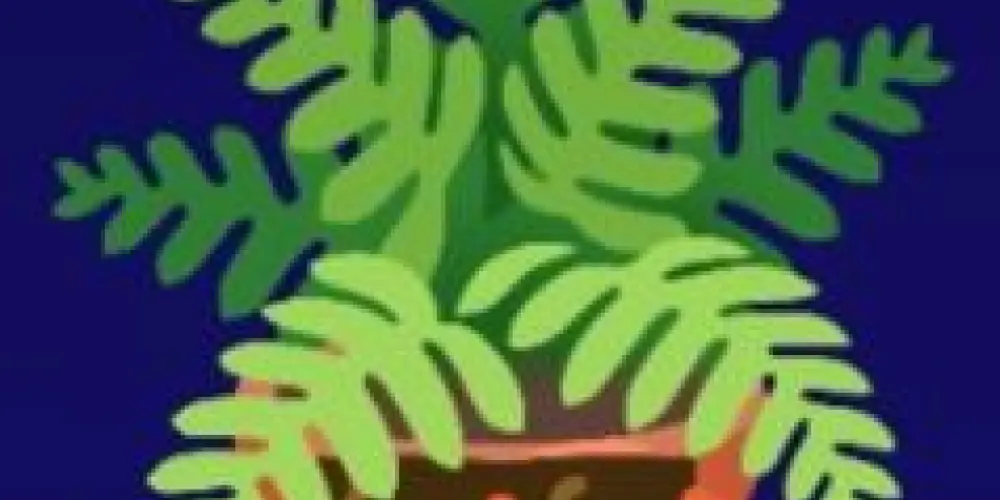 Imagem do grupo de WhatsApp •PARA QUEM É 🪴✓