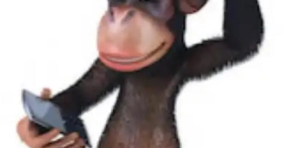 Imagem do grupo de WhatsApp PARADISE  OFF CHAT 🎀