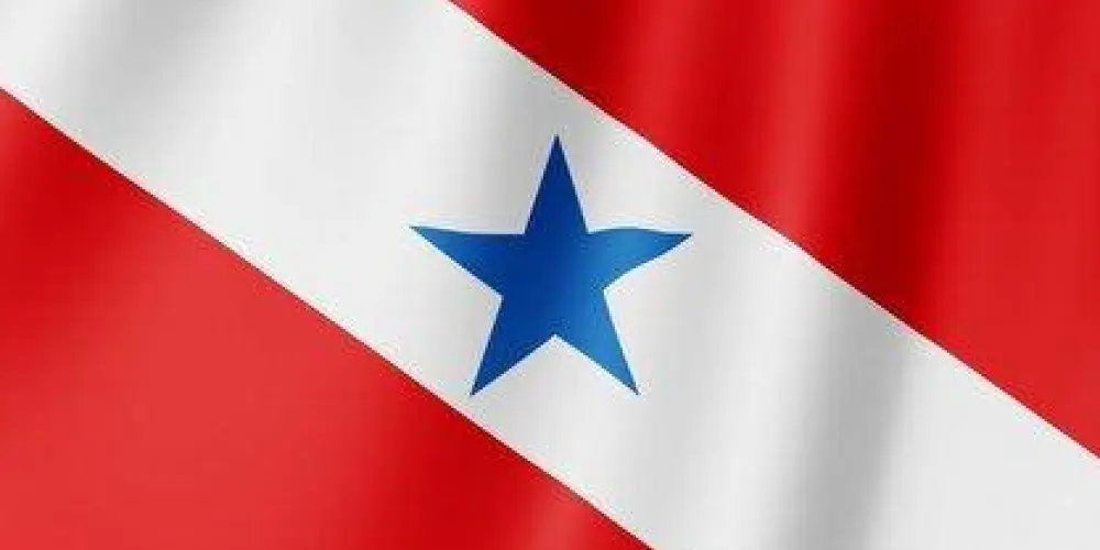 Imagem do grupo de WhatsApp Paraenses sendo protagonistas