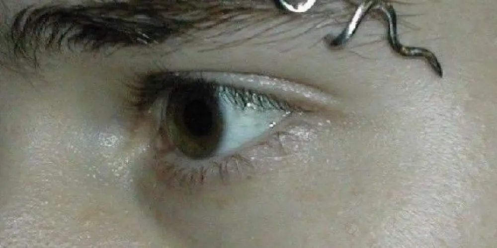 Imagem do grupo de WhatsApp Paraíso LGBT 🌈 - Remake