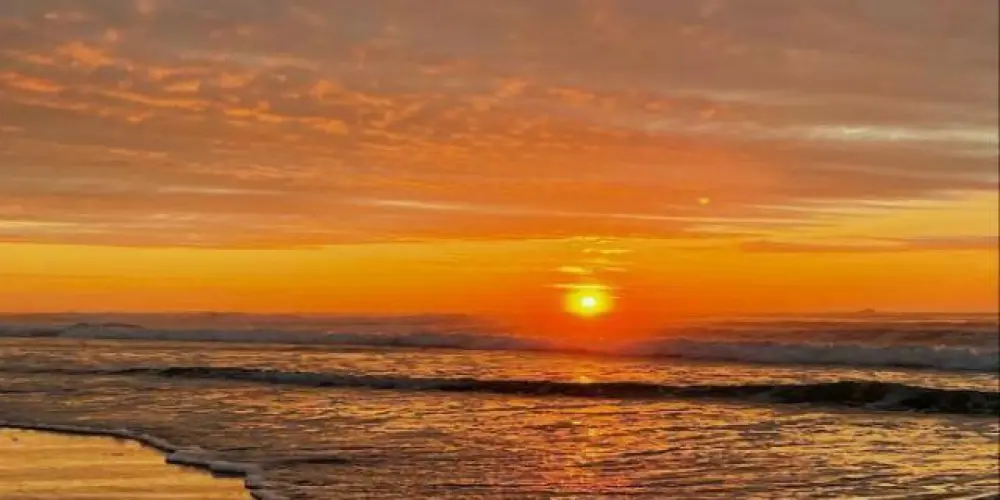 Imagem do grupo de WhatsApp Paraíso tropical