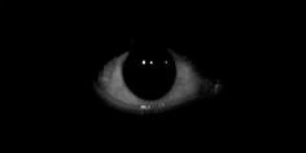 Imagem do grupo de WhatsApp PARANÓIA