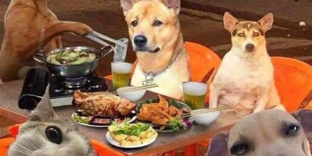 Imagem do grupo de WhatsApp 🎊 Paranoicos do Zodíaco🎉