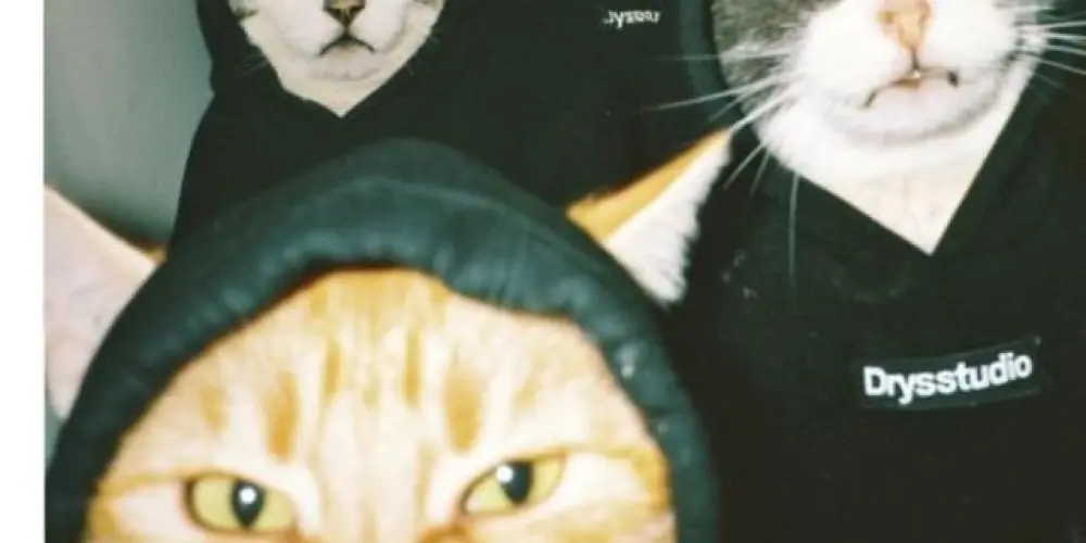 Imagem do grupo de WhatsApp Paranoicos do Zodíaco 😜🖤