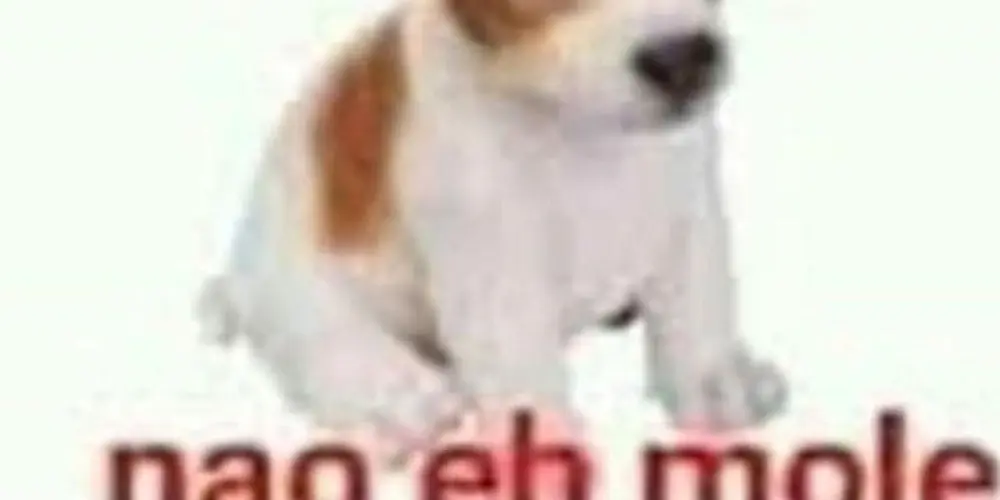 Imagem do grupo de WhatsApp Parças