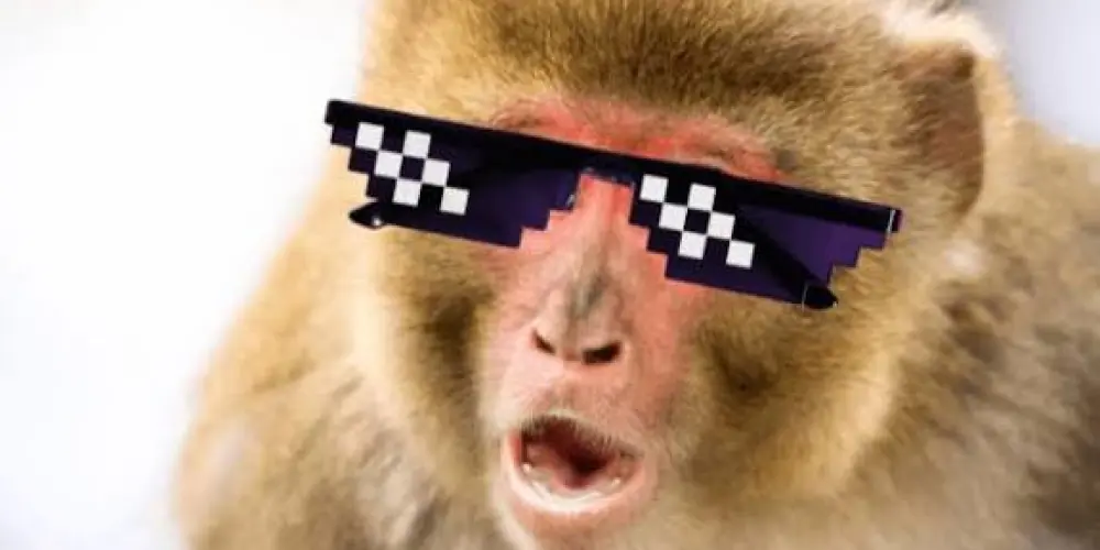 Imagem do grupo de WhatsApp Paróquia do Marcelo Nego, o Lobisomem beijão 💋