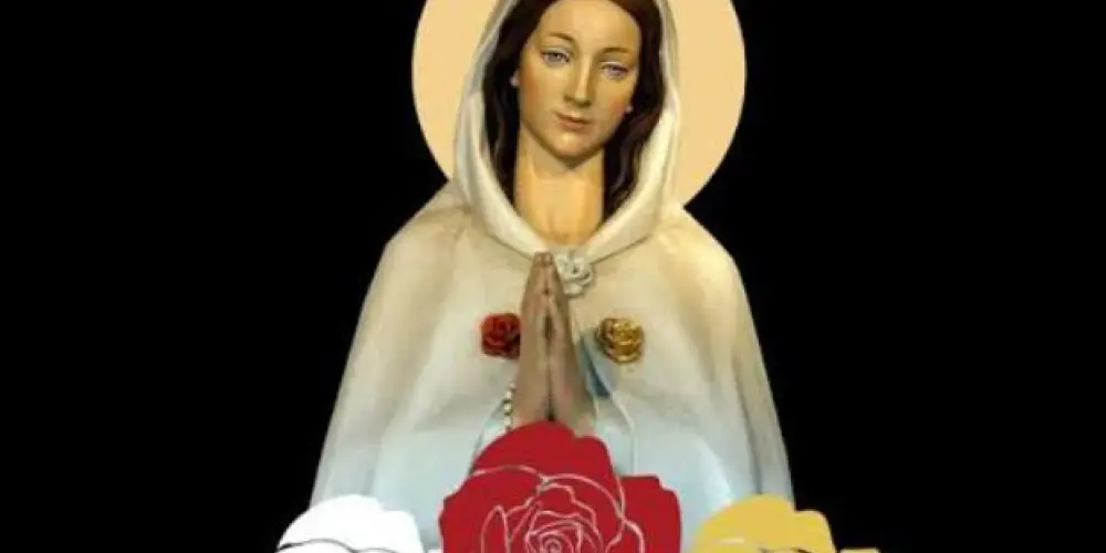 Imagem do grupo de WhatsApp Paróquia Maria Rosa mística