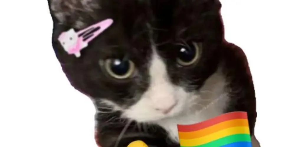 Imagem do grupo de WhatsApp ✨️PASSIVAS PATÉTICAS ✨️