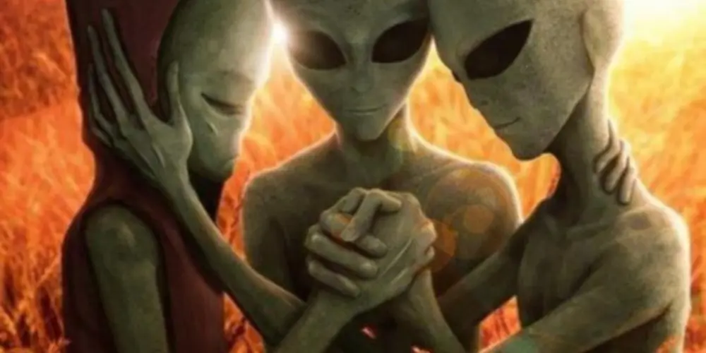 Imagem do grupo de WhatsApp patetascity