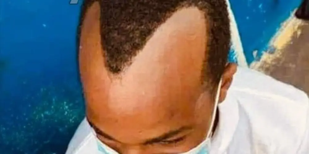 Imagem do grupo de WhatsApp PATIFARIA 1.0