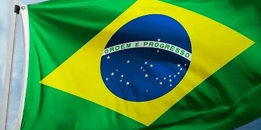 Imagem do grupo de WhatsApp Pátria Brasil