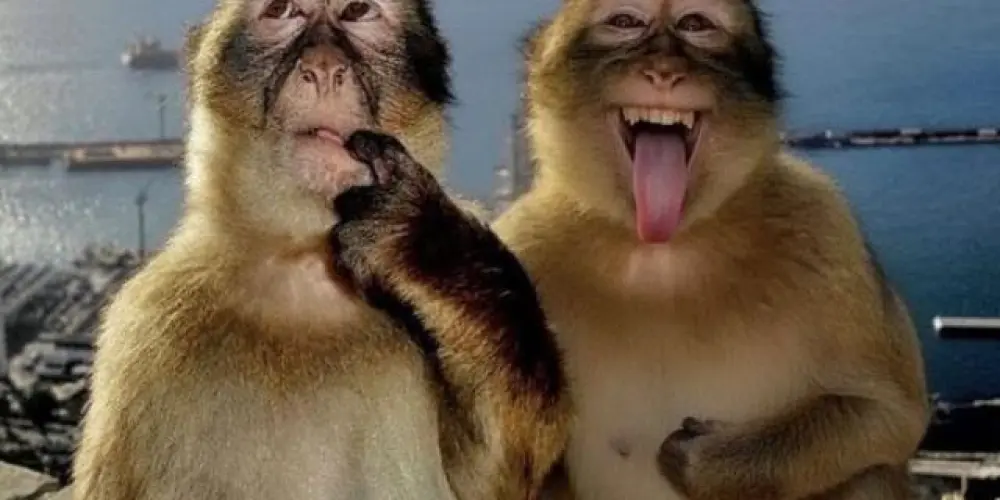 Imagem do grupo de WhatsApp PAU PRA TUDO