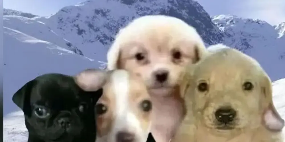 Imagem do grupo de WhatsApp Paula_fora 2📍