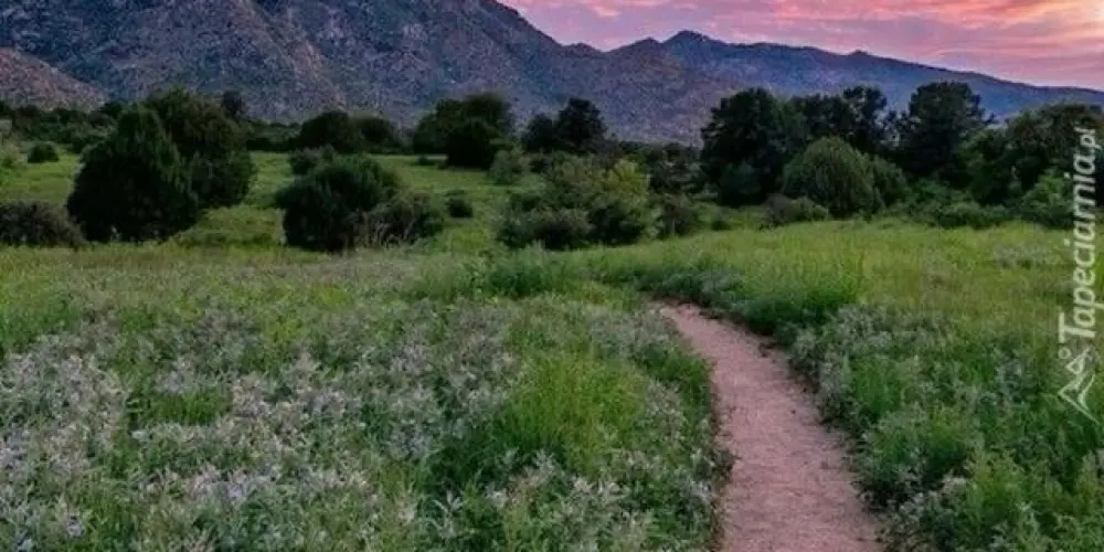 Imagem do grupo de WhatsApp Paz ✌🏾