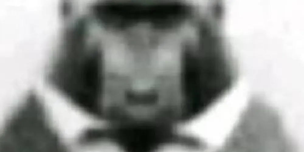 Imagem do grupo de WhatsApp PCM primeiro comando macaco