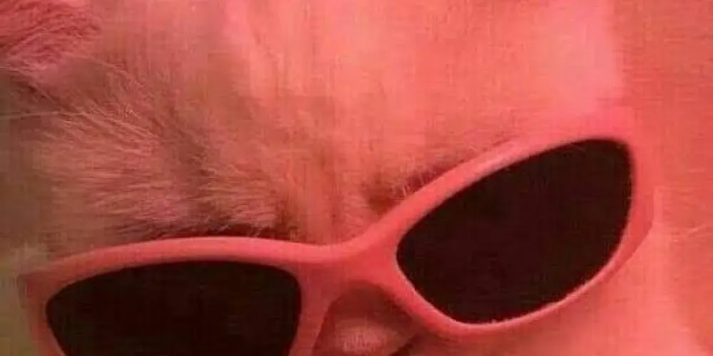 Imagem do grupo de WhatsApp Pecks De Figurinhas
