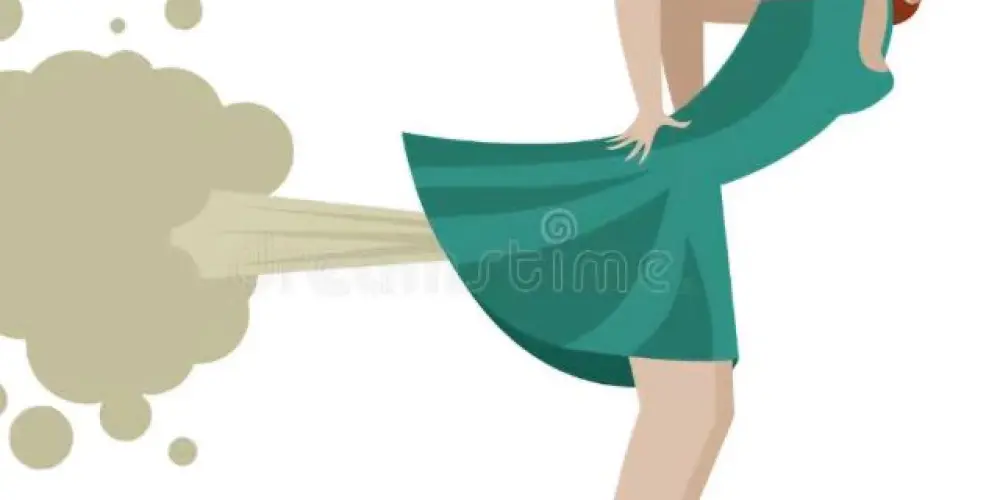 Imagem do grupo de WhatsApp Peidin