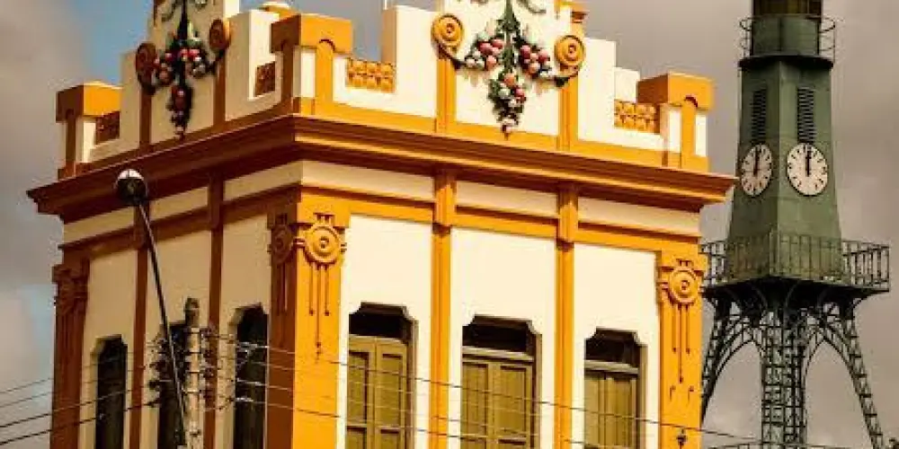 Imagem do grupo de WhatsApp Pelotas classificados