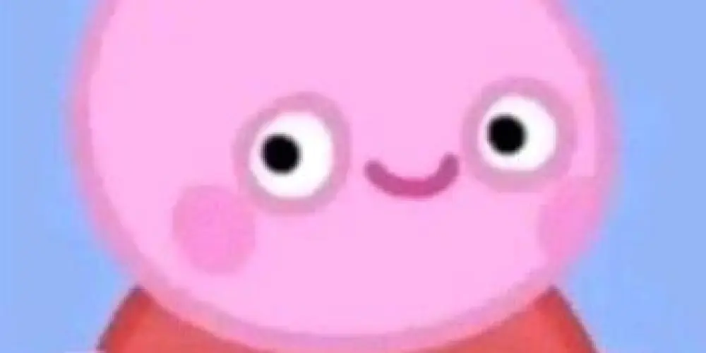 Imagem do grupo de WhatsApp Pepa