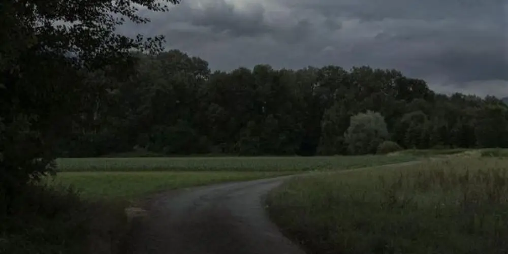 Imagem do grupo de WhatsApp Perdidos