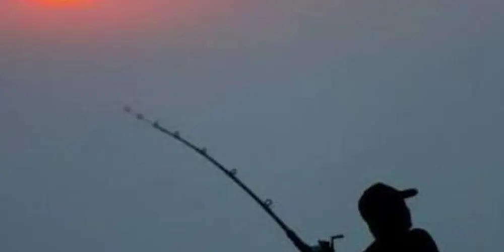 Imagem do grupo de WhatsApp Pesca bruta