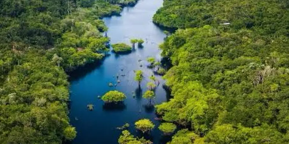 Imagem do grupo de WhatsApp PESCARIA NA AMAZÔNIA 🌳