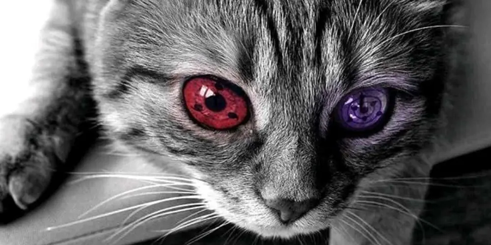 Imagem do grupo de WhatsApp Pessoal do TK TK 🤟🏻