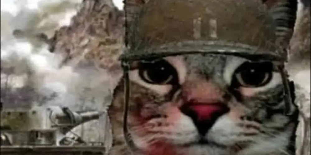 Imagem do grupo de WhatsApp Pessoas normais 🫵