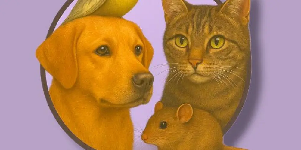 Imagem do grupo de WhatsApp PETS ITENS - produtos e ofertas para PETS e PAPAIS DE PETS