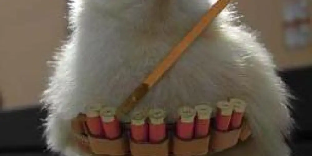 Imagem do grupo de WhatsApp Pinto carioca